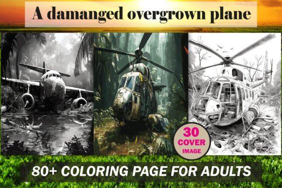 A Damanged Overgrown Plane Coloring Book