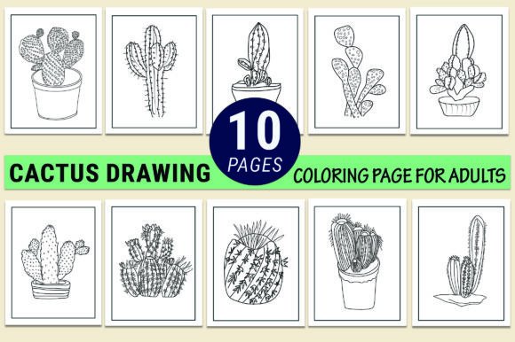 Cactus Coloring Pages for Adults