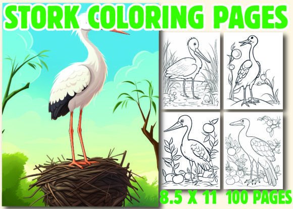 Stork Coloring 2 Page for Kids: A Practical Interior Design Choice for Your KDP Coloring Book