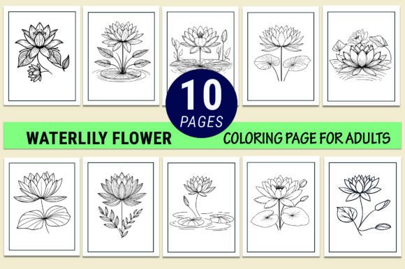 Waterlily Drawing Coloring Pages for Kid