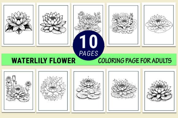 Waterlily Drawings Coloring Pages Adults