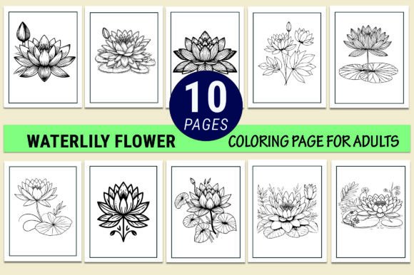 Waterlily Flower Coloring Pages for Adult